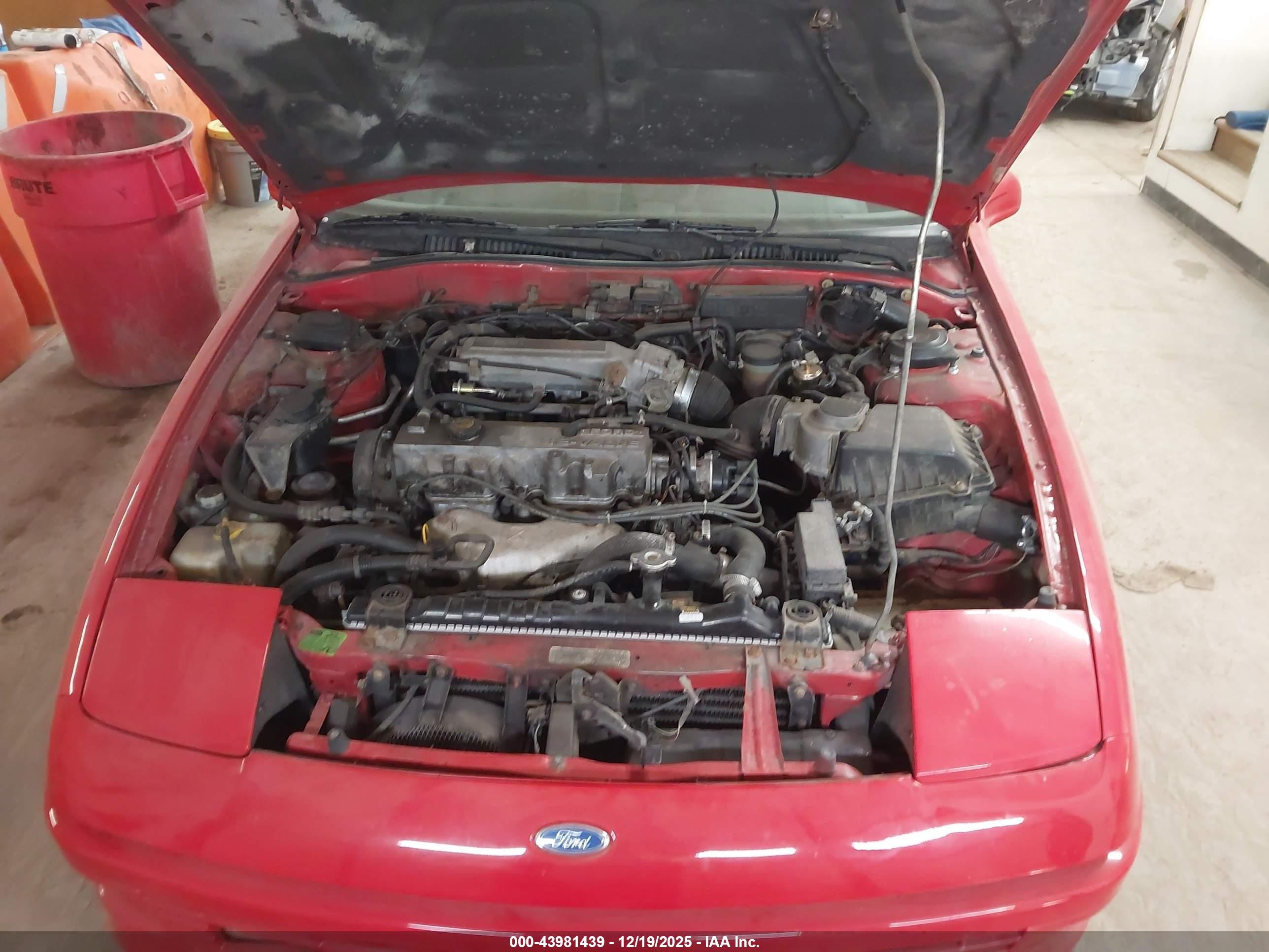 1991 Ford Probe Gt Red vin: 1ZVPT22L8M5122359