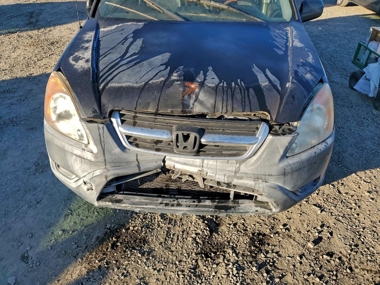 2004 Honda Cr-v Lx Черный vin: JHLRD68404C023999