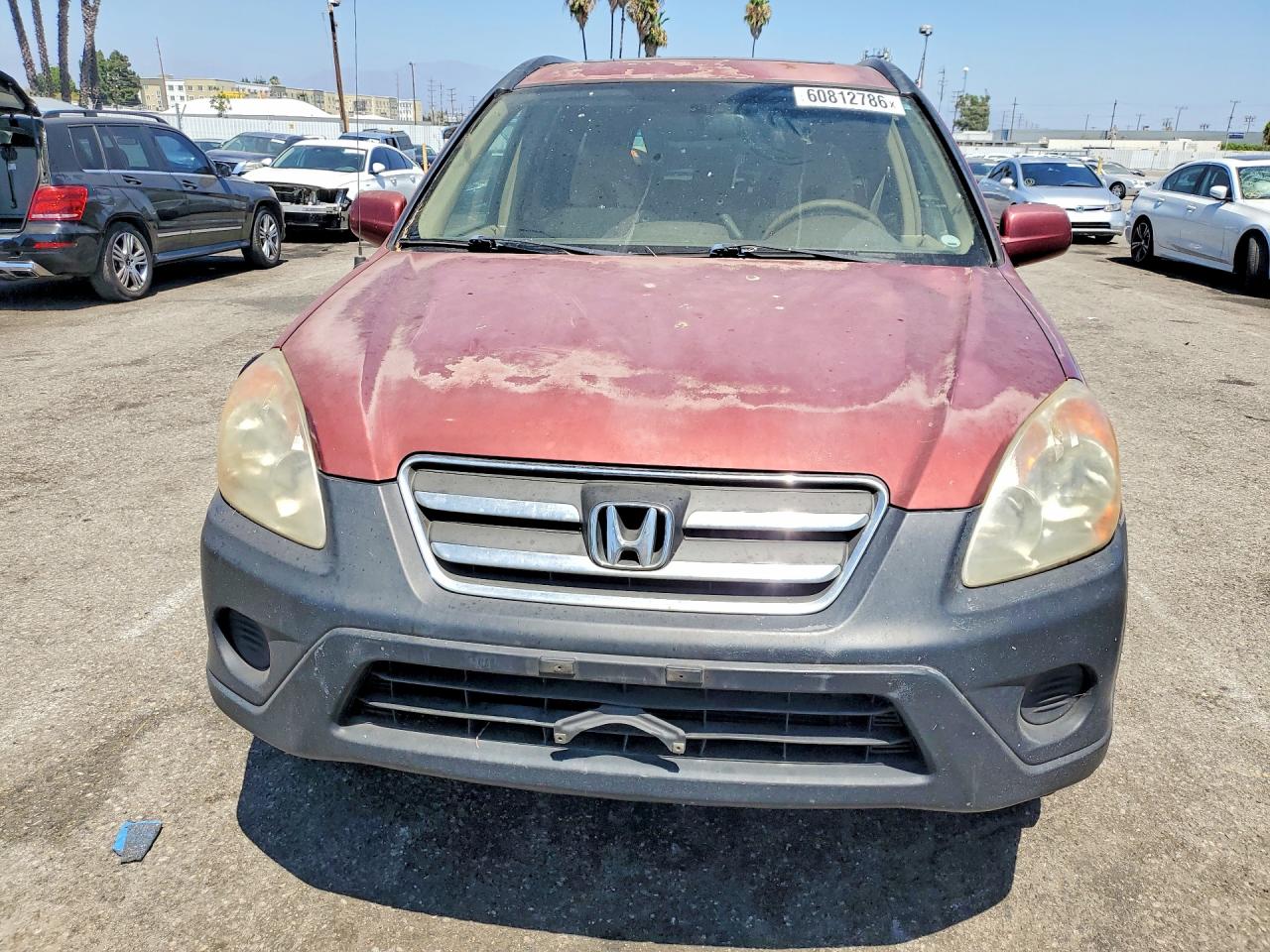2006 Honda Cr-v Ex Red vin: JHLRD78846C046858