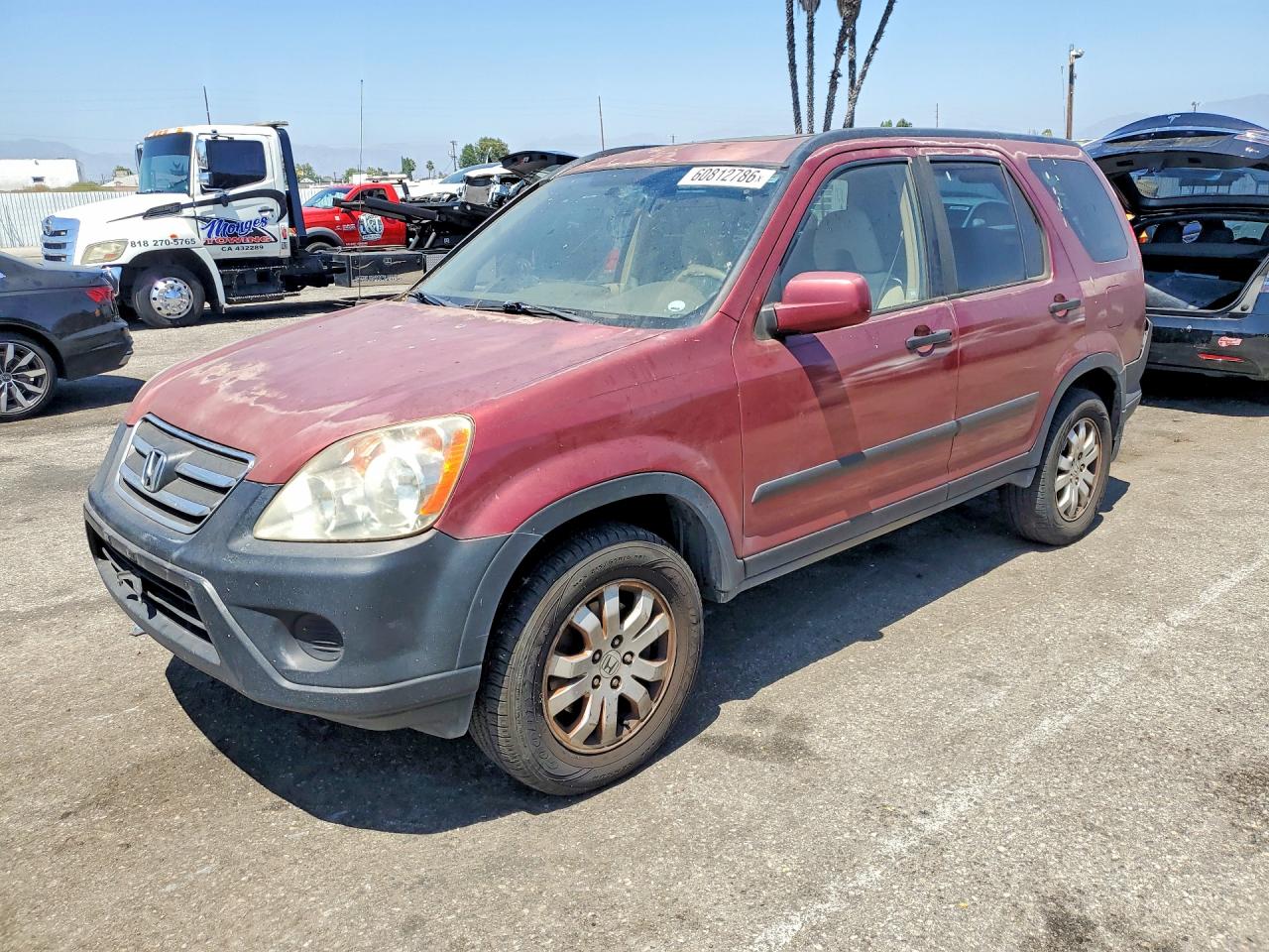 2006 Honda Cr-v Ex Red vin: JHLRD78846C046858