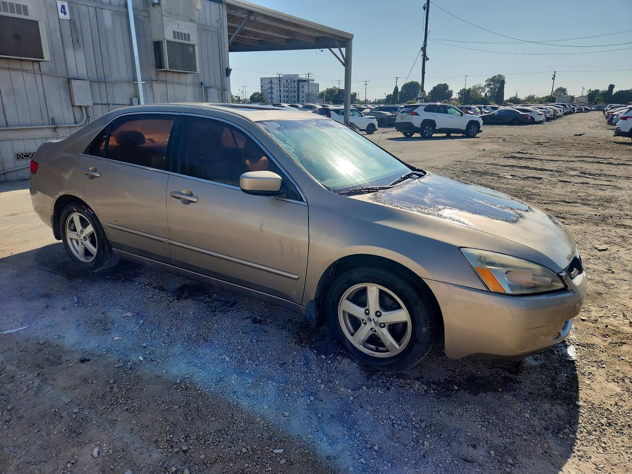2005 Honda Accord Ex Tan vin: JHMCM56895C006850