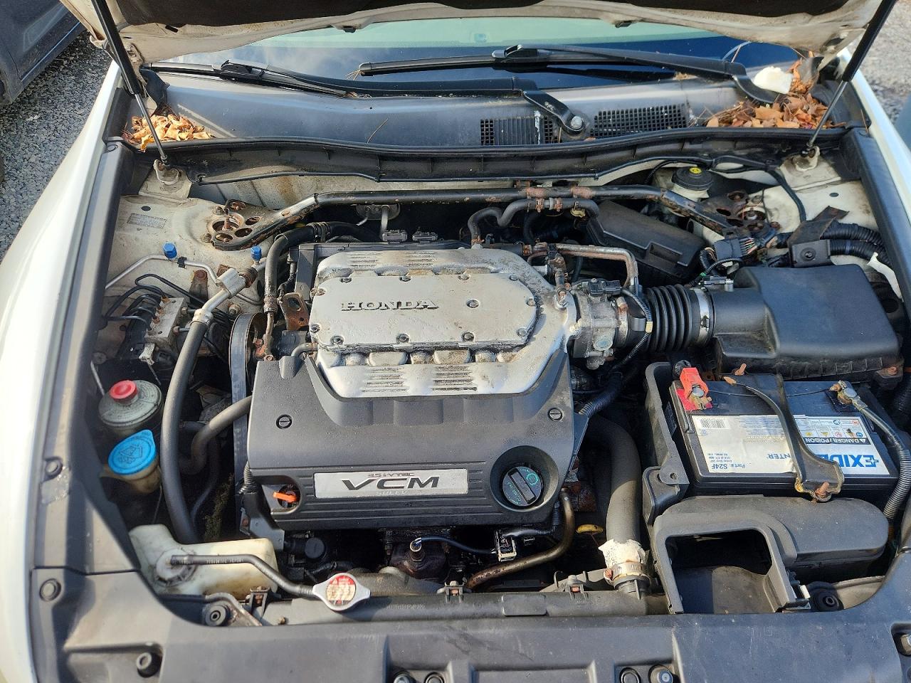 2008 Honda Accord Exl White vin: 1HGCP36828A084417