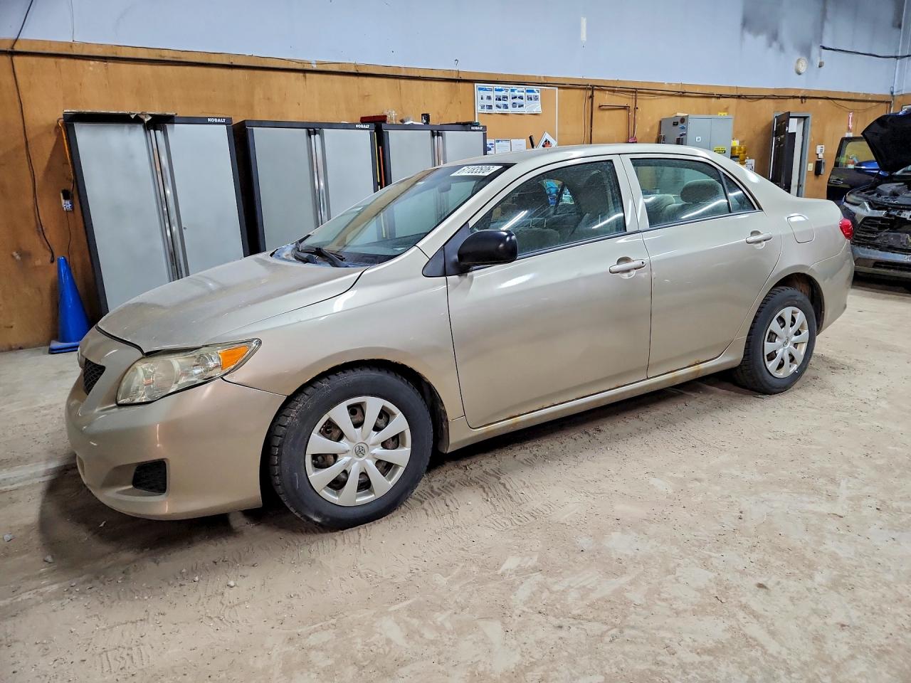 2009 Toyota Corolla Base Gold vin: 2T1BU40EX9C006004