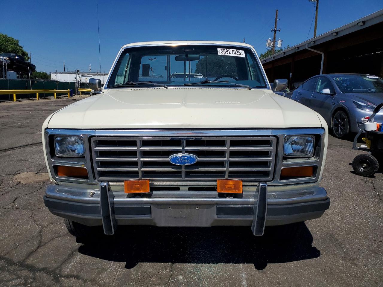 1986 Ford F150 White vin: 1FTDF15NXGPB15359