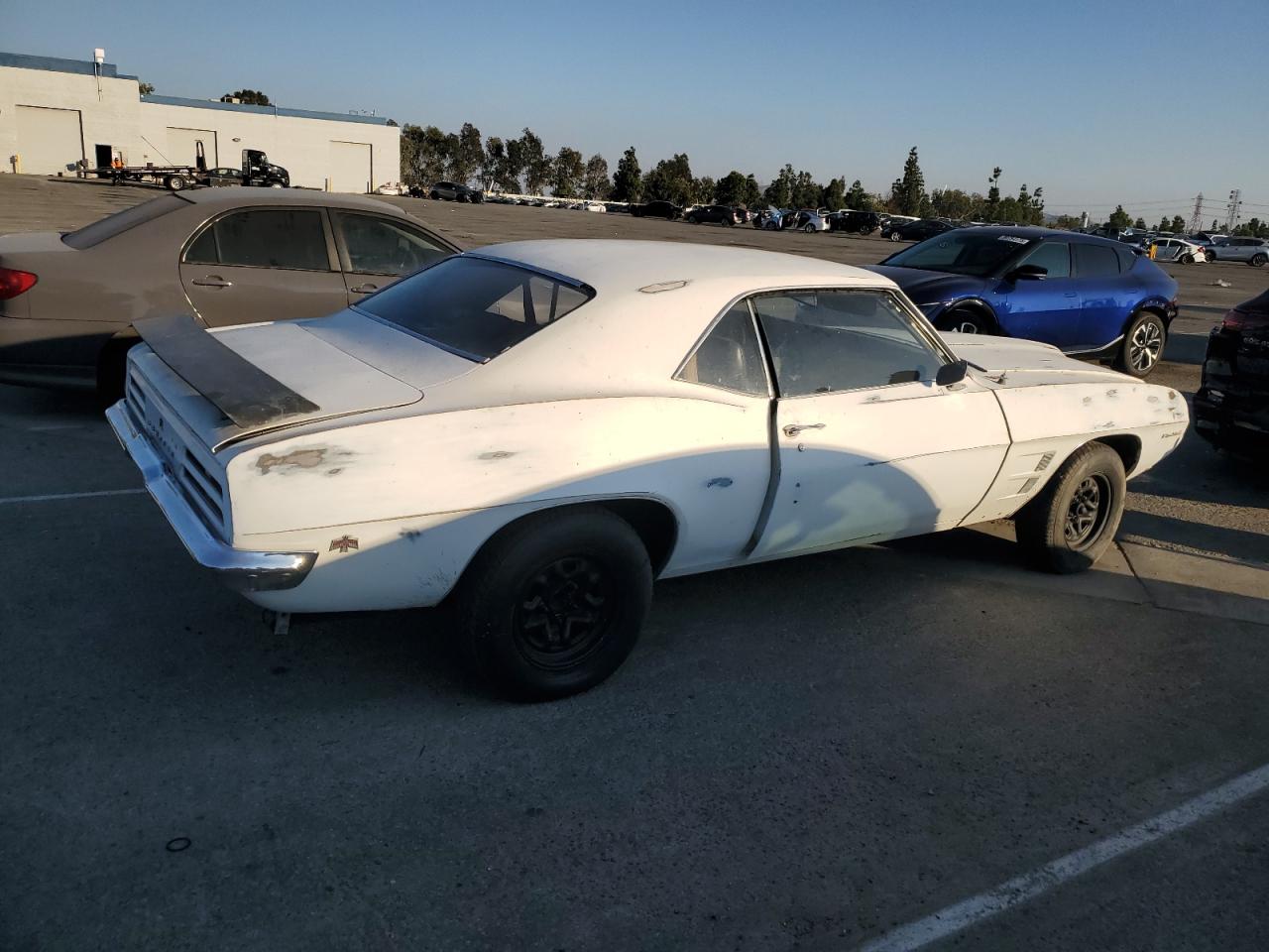 1969 Pontiac Firebird White vin: 223379L601606