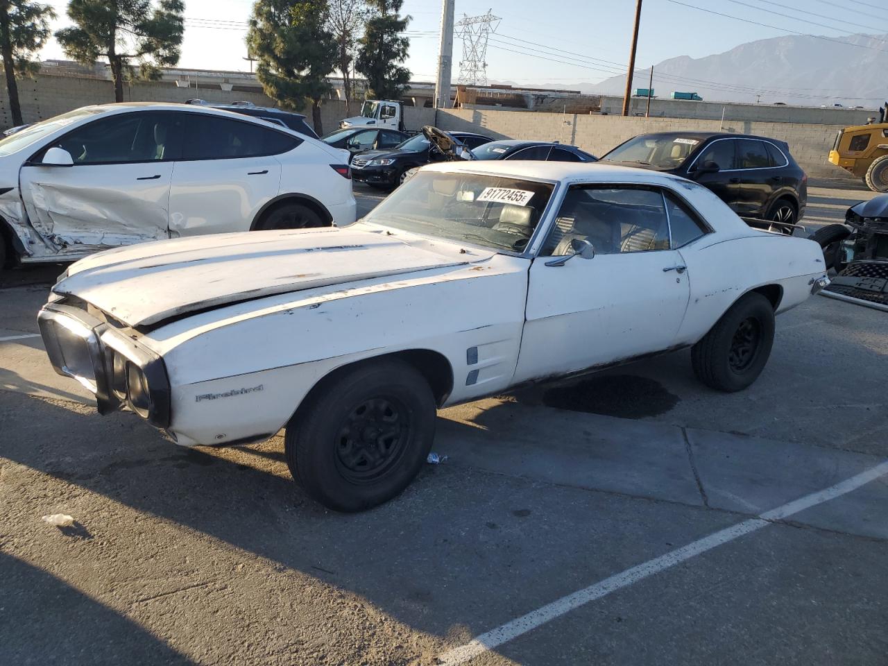 1969 Pontiac Firebird White vin: 223379L601606