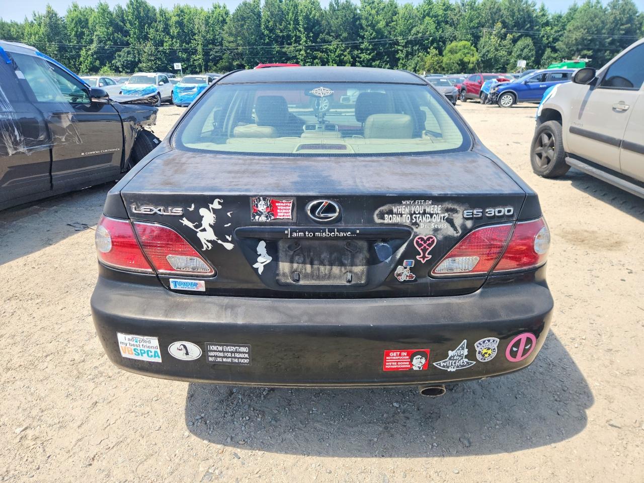 2003 Lexus Es 300 Black vin: JTHBF30G730148607