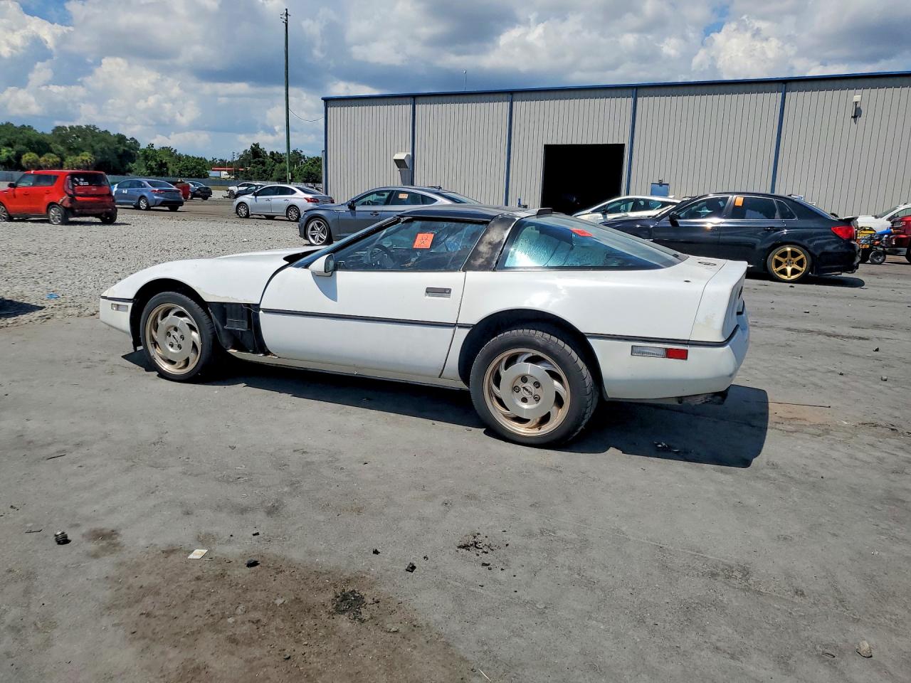 1989 Chevrolet Corvette White vin: 1G1YY2183K5102435