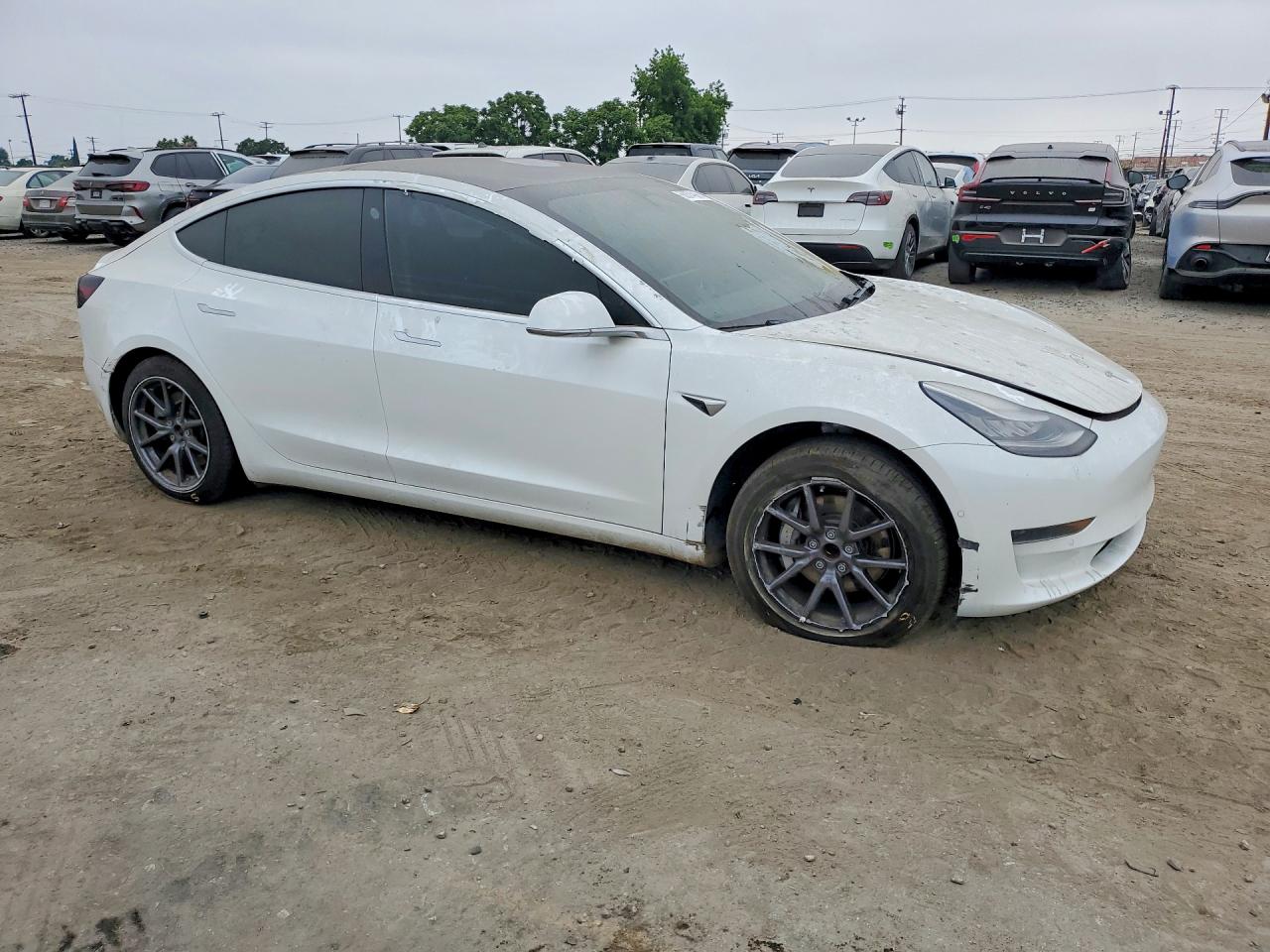 2020 Tesla Model 3 Белый vin: 5YJ3E1EA5LF598405