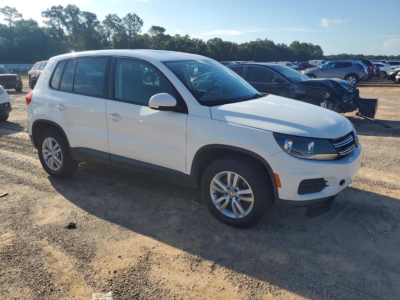 2013 Volkswagen Tiguan S White vin: WVGAV3AXXDW566460
