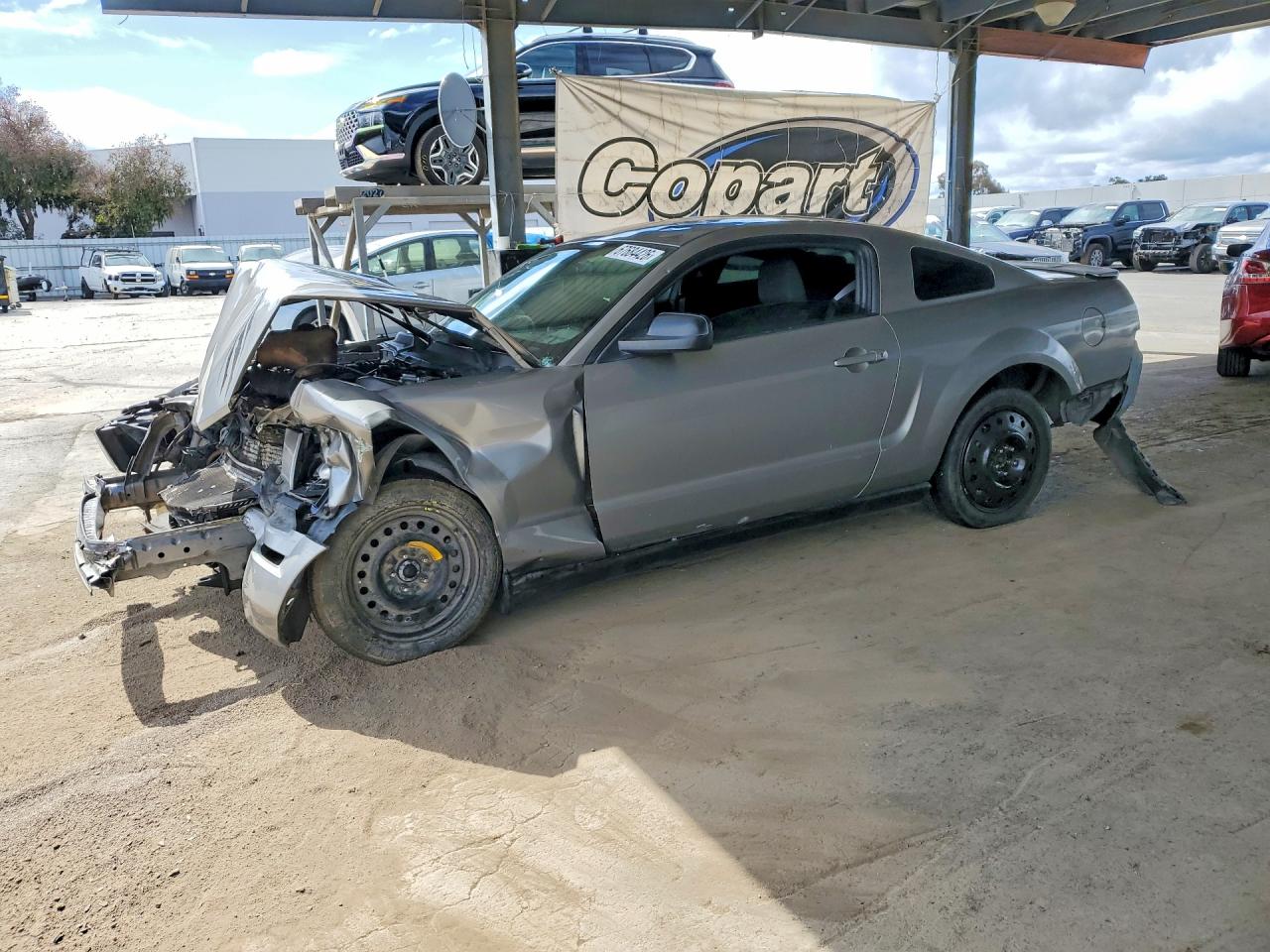 2008 Ford Mustang Gray vin: 1ZVHT80N785163342
