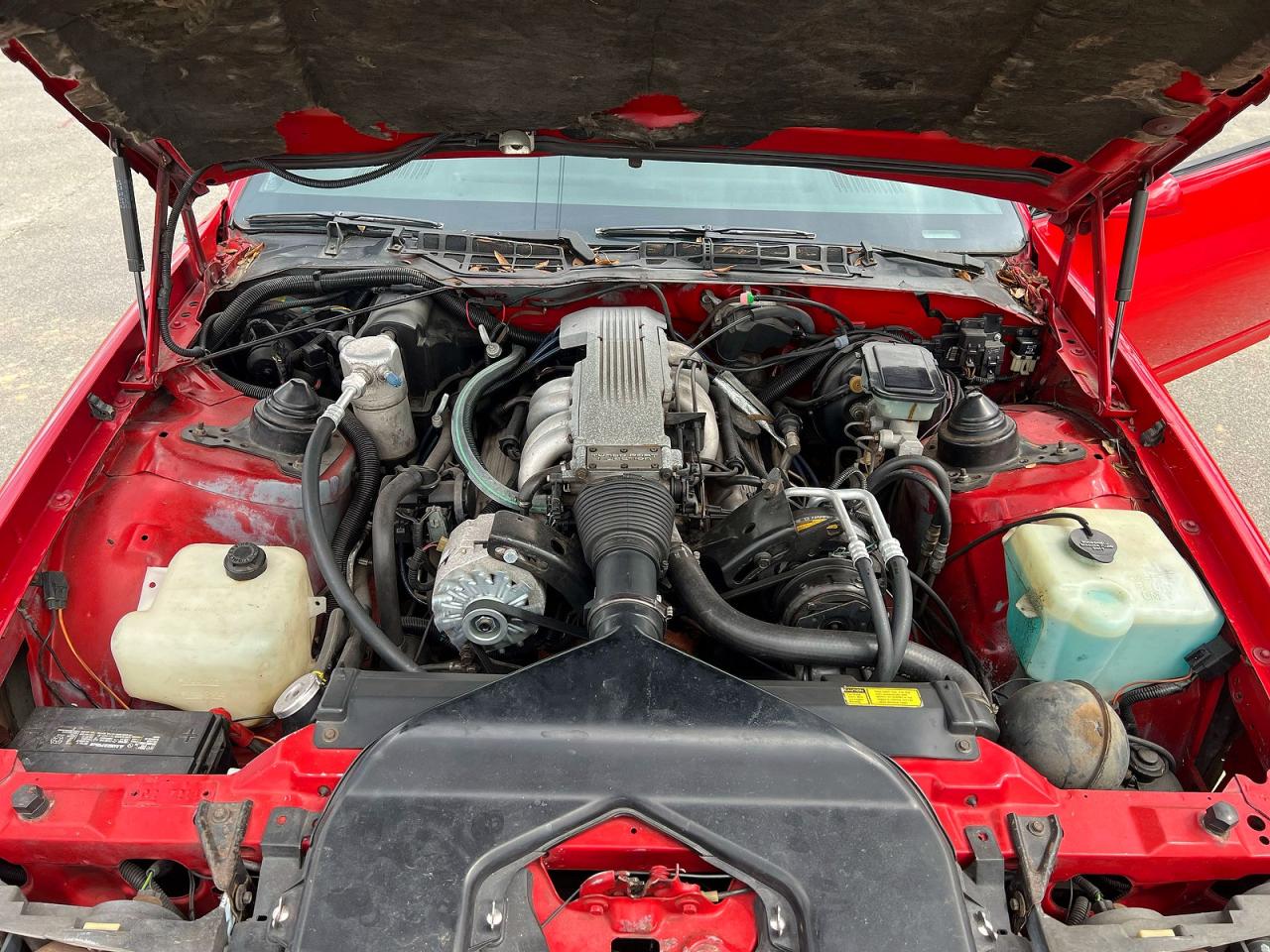 1986 Chevrolet Camaro Red vin: 1G1FP87F3GL117622
