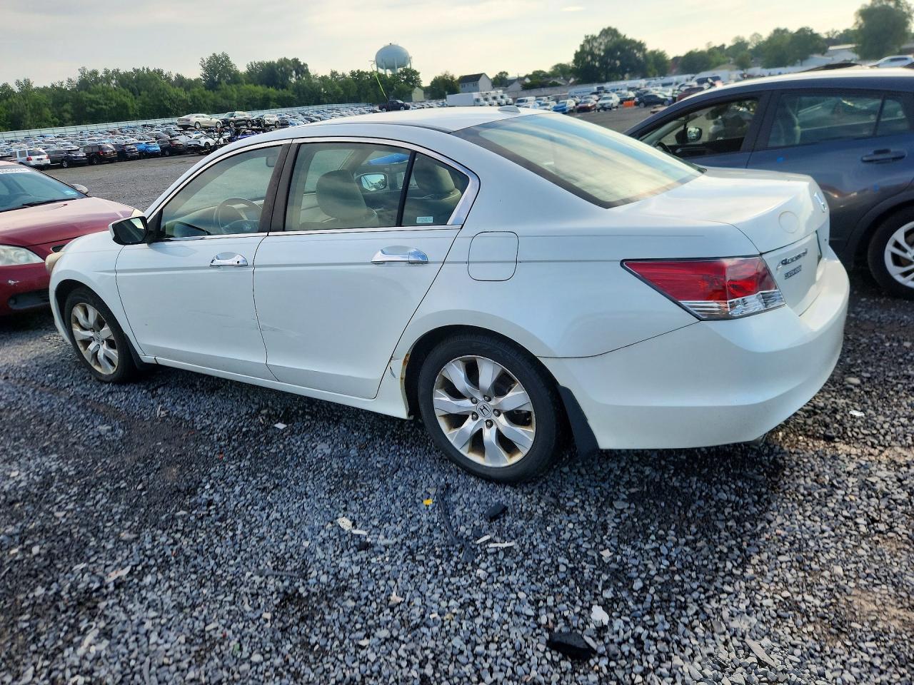 2008 Honda Accord Exl White vin: 1HGCP36828A084417