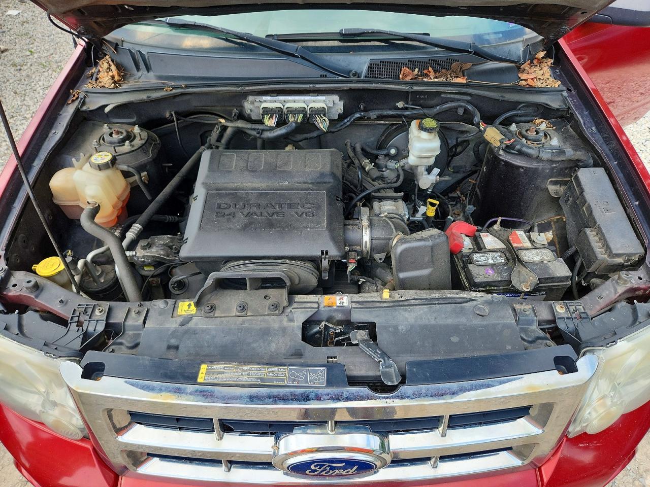 2012 Ford Escape Xlt Red vin: 1FMCU9DG6CKA81717