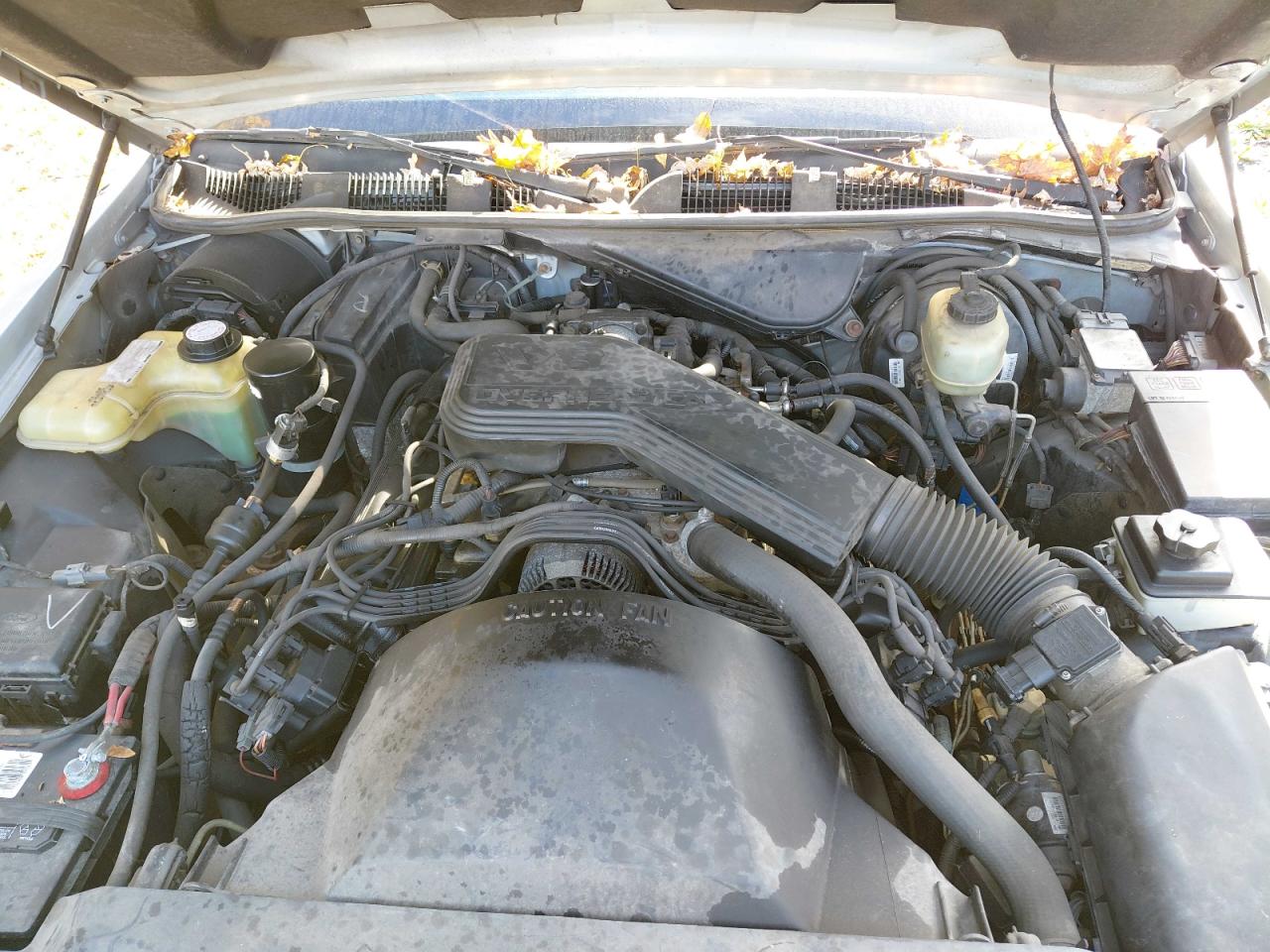 1994 Ford Crown Victoria Lx Blue vin: 2FALP74W5RX203065