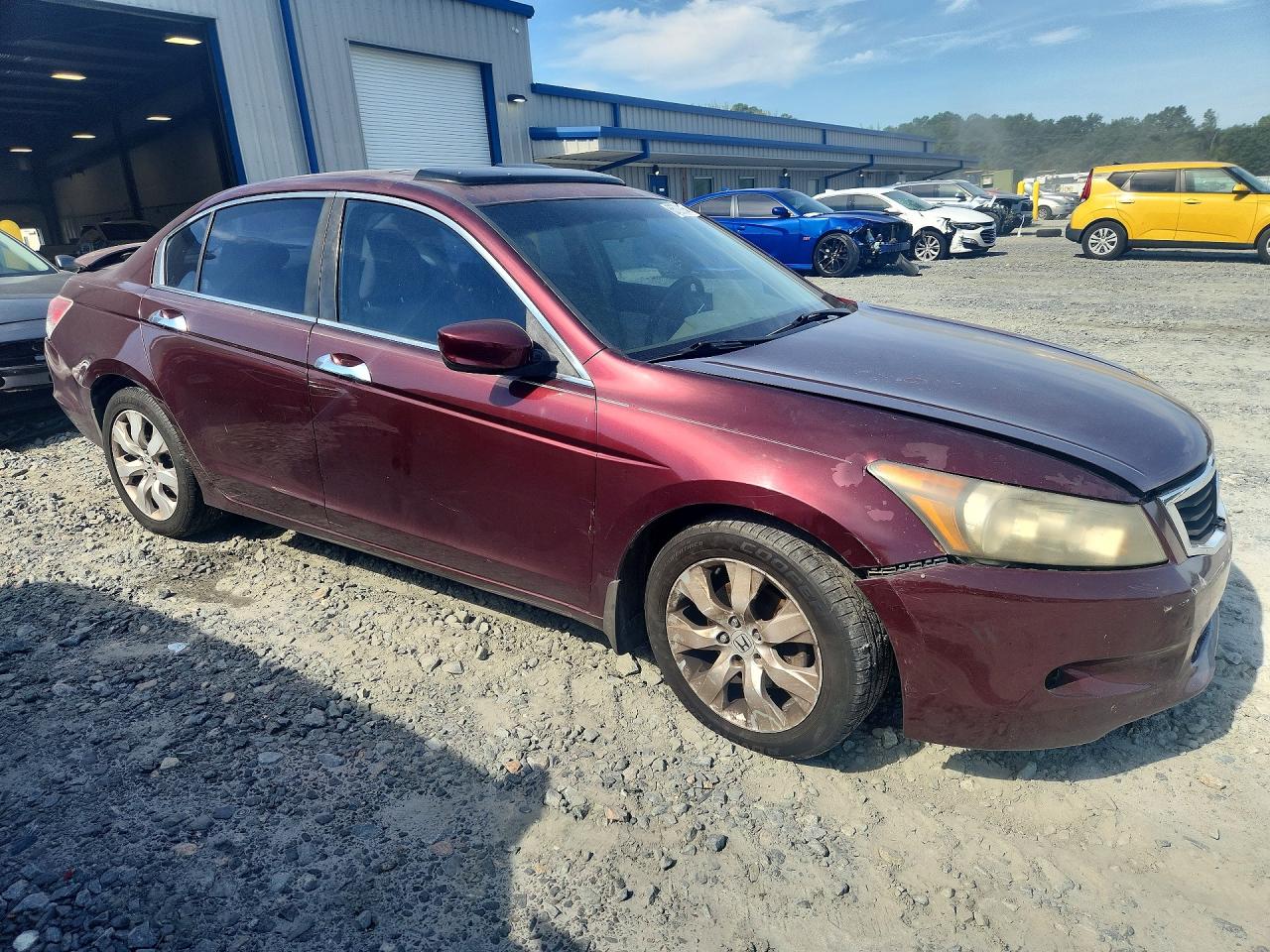 2008 Honda Accord Exl Burgundy vin: 1HGCP368X8A077120