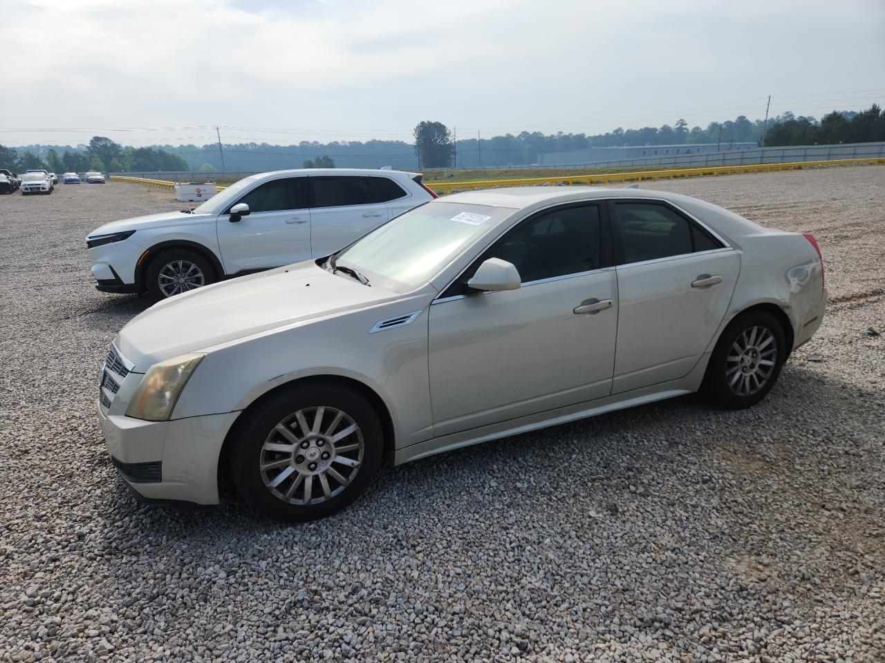 2010 Cadillac Cts Luxury Collection Cream vin: 1G6DF5EG9A0112223