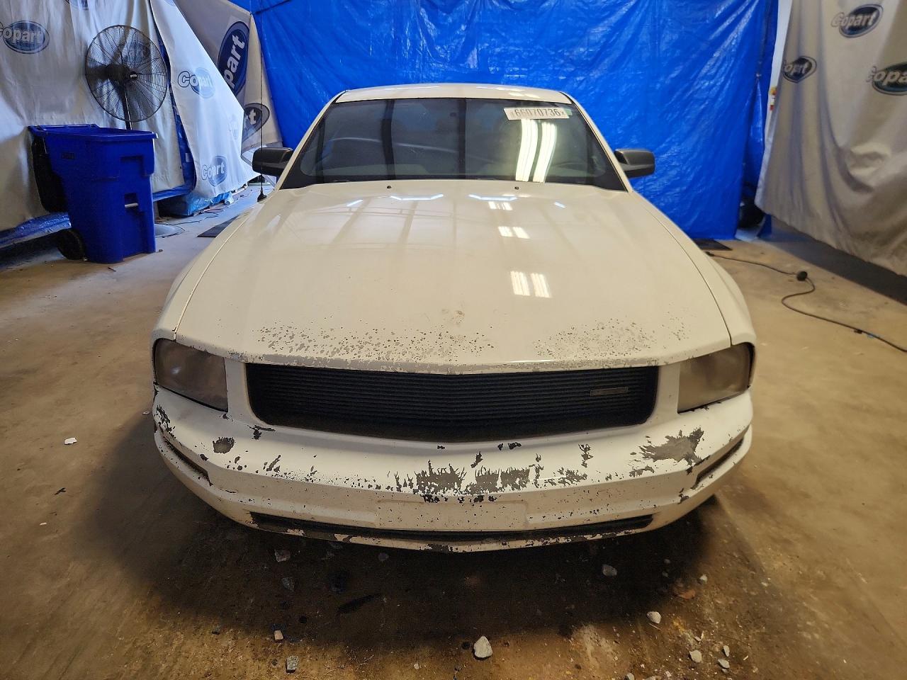 2005 Ford Mustang White vin: 1ZVFT80N155152369