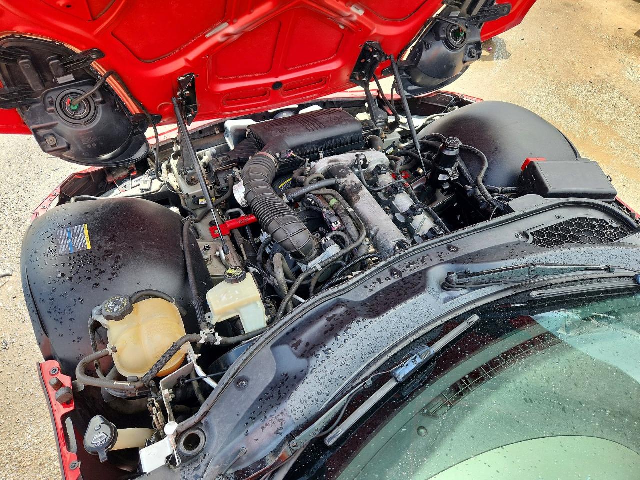 2006 Pontiac Solstice Red vin: 1G2MB35B26Y113714