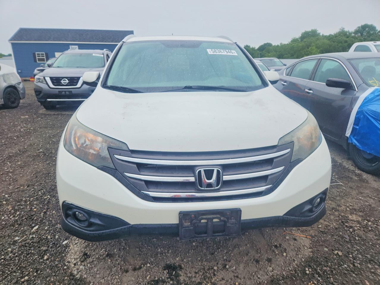 2014 Honda Cr-v Exl Белый vin: 5J6RM4H77EL084953