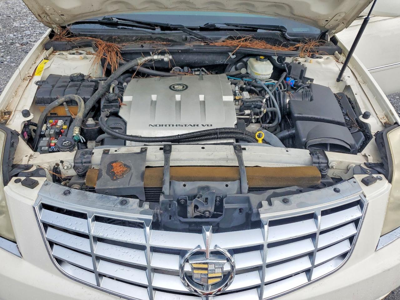 2009 Cadillac Professional Chassis Белый vin: 1GEEK90Y49U550065