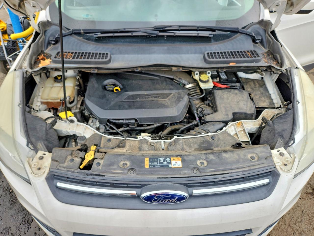 2014 Ford Escape Se Белый vin: 1FMCU9GX2EUB11380