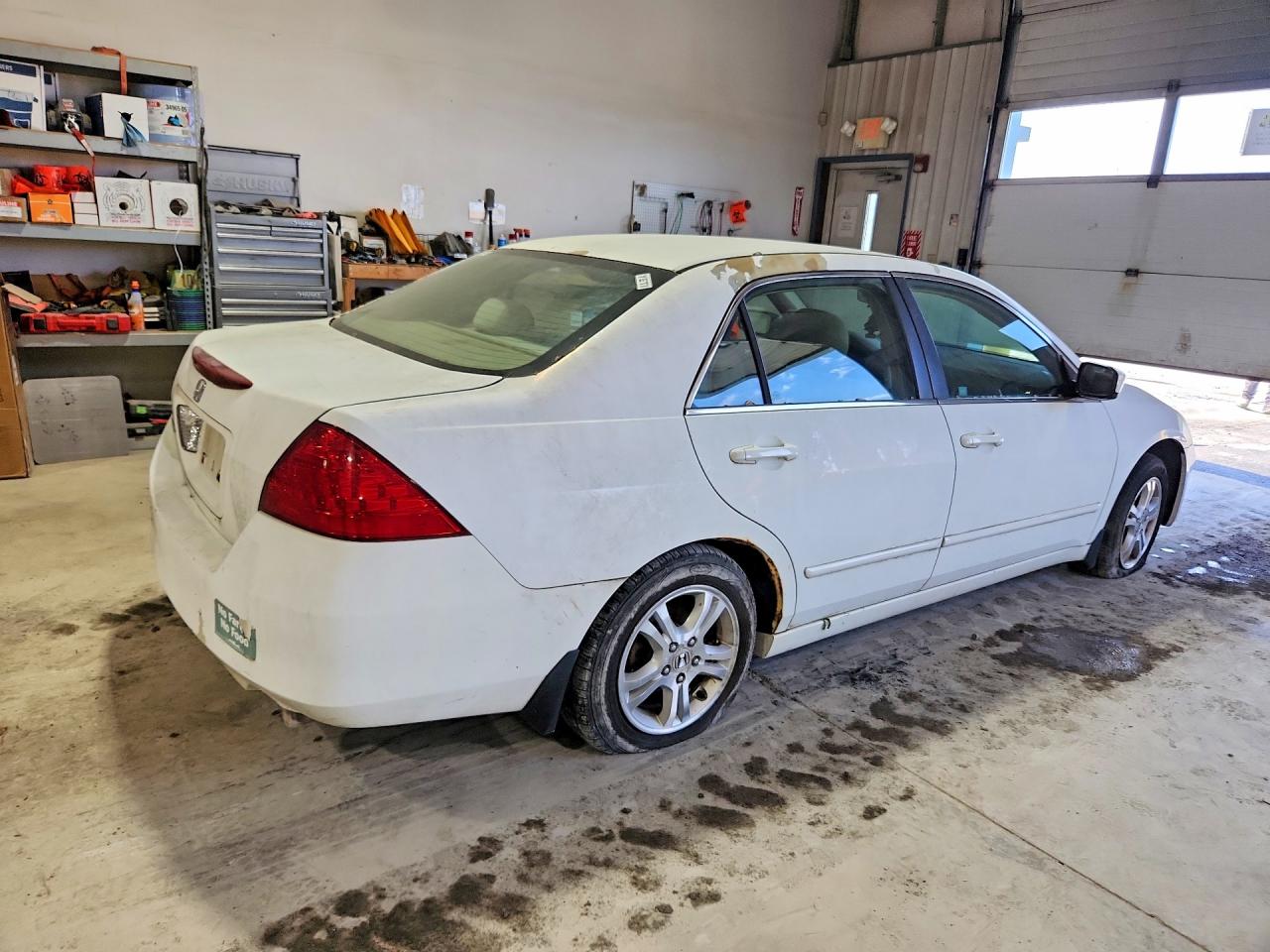 2006 Honda Accord Se White vin: 1HGCM56336A132612