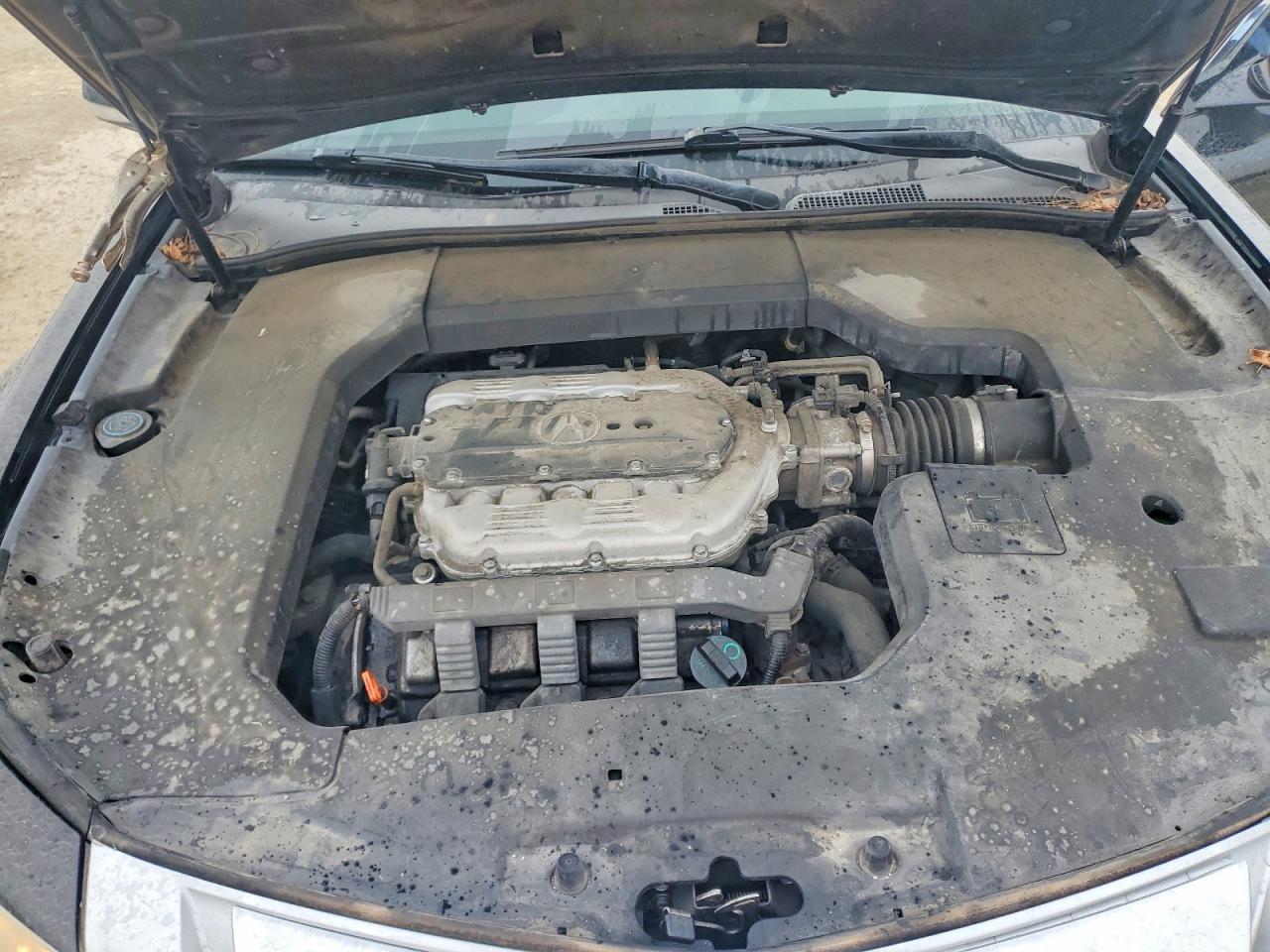 2010 Acura Tl Черный vin: 19UUA9F58AA005711
