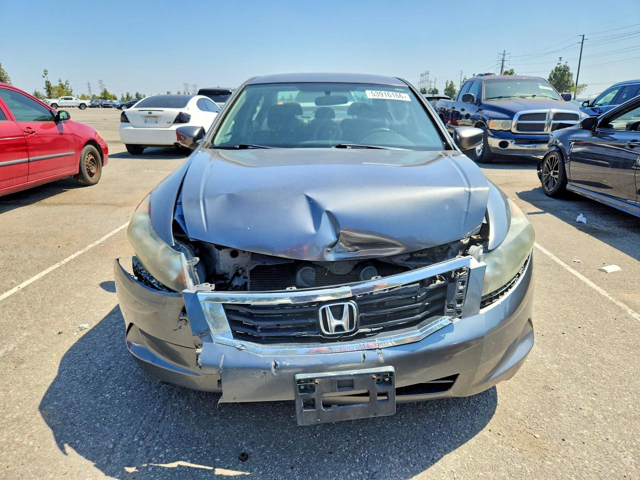 2010 Honda Accord Lxp Gray vin: 1HGCP2F4XAA197531