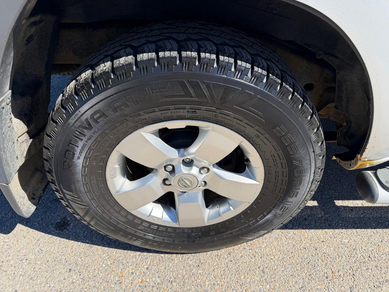 2009 Nissan Xterra Silver vin: 5N1AN08U39C513523