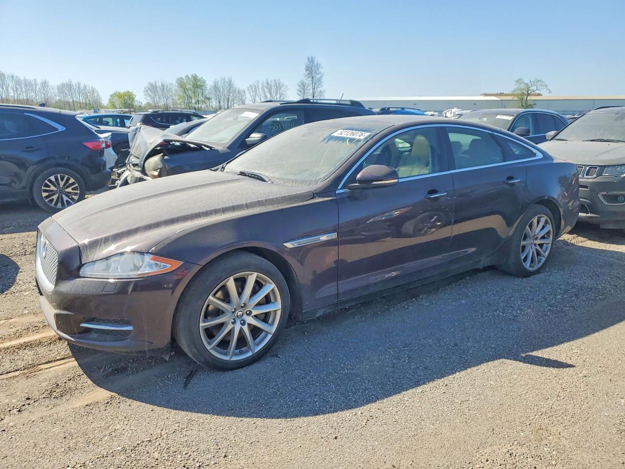 2013 Jaguar Xj Burgundy vin: SAJWA1C78D8V41800