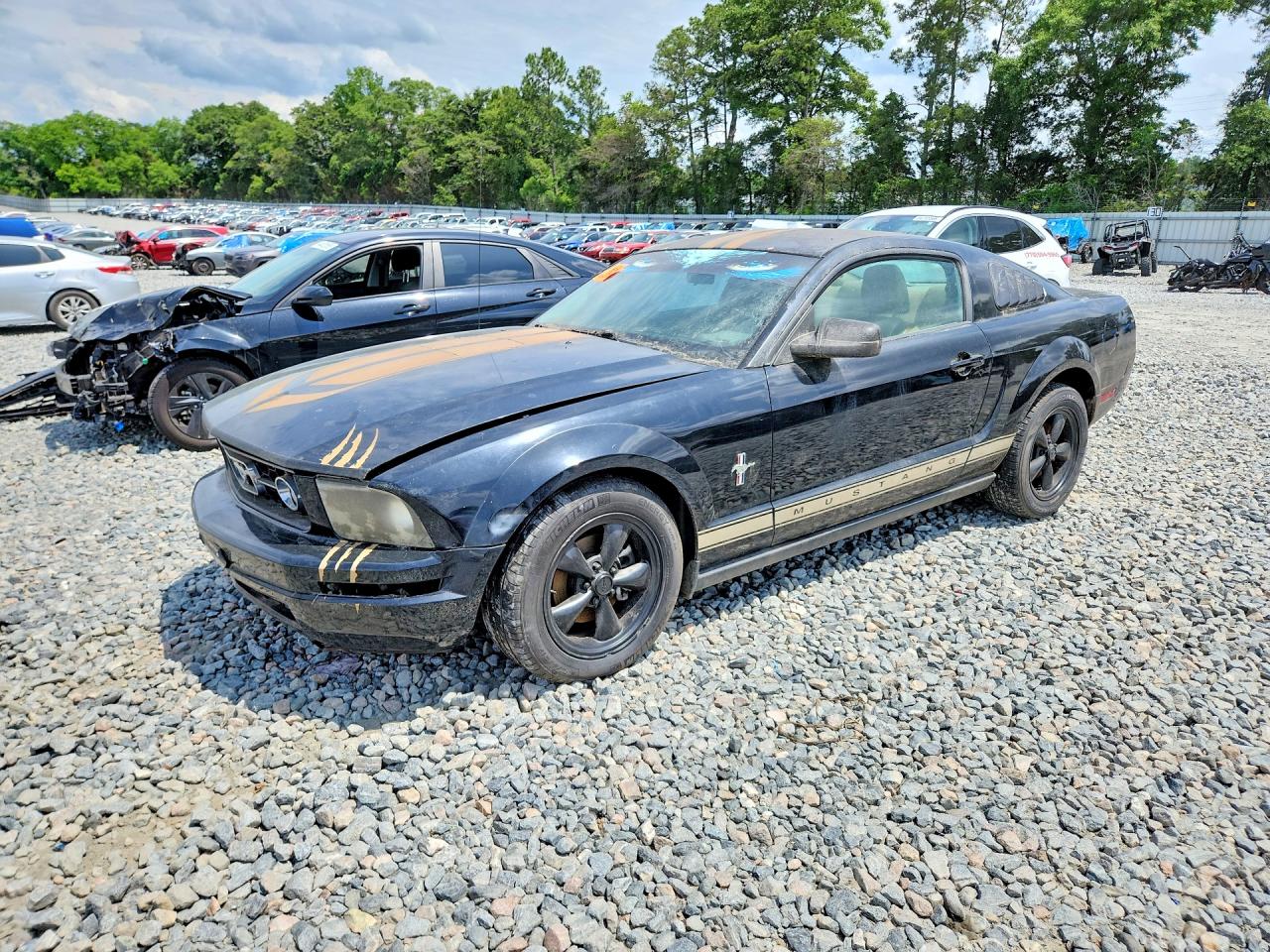 2007 Ford Mustang Black vin: 1ZVFT80N775203750