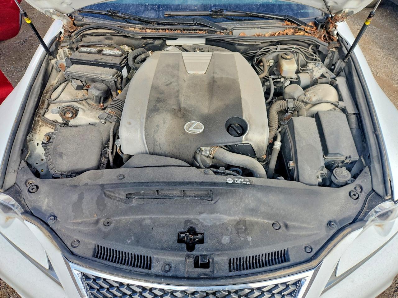 2014 Lexus Is 350 White vin: JTHCE1D24E5003296