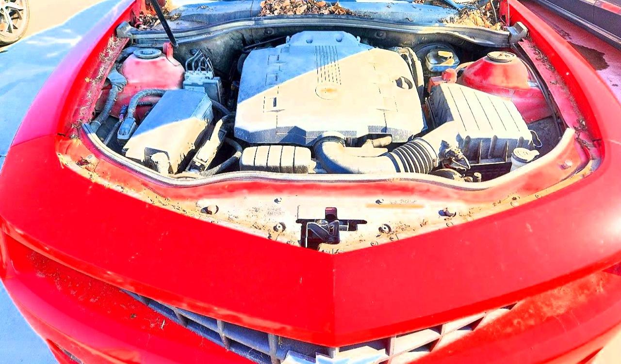 2010 Chevrolet Camaro Lt Red vin: 2G1FB1EVXA9217232