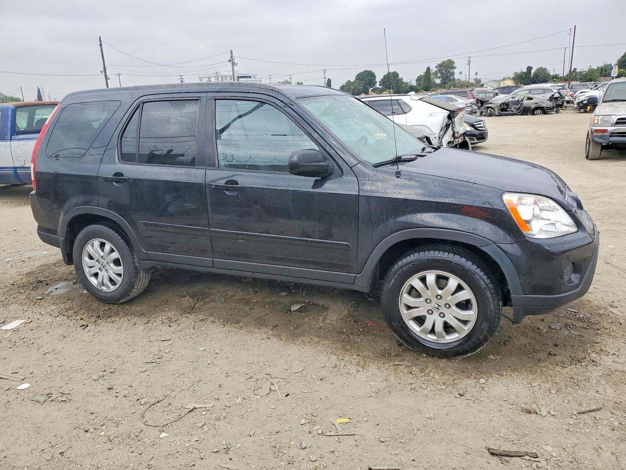 2006 Honda Cr-v Se Black vin: JHLRD789X6C012755