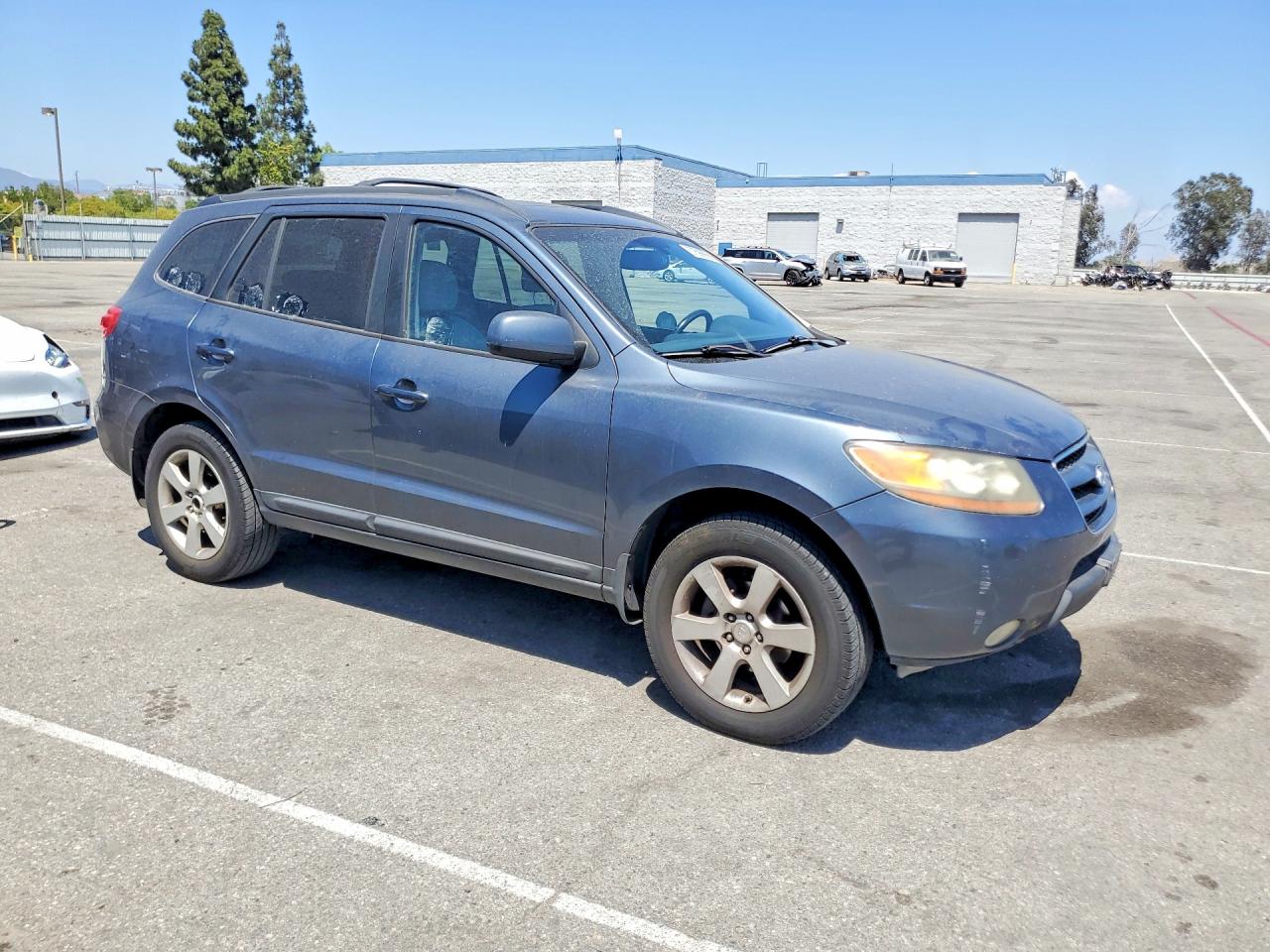 2009 Hyundai Santa Fe Se Gray vin: 5NMSH13E29H235527
