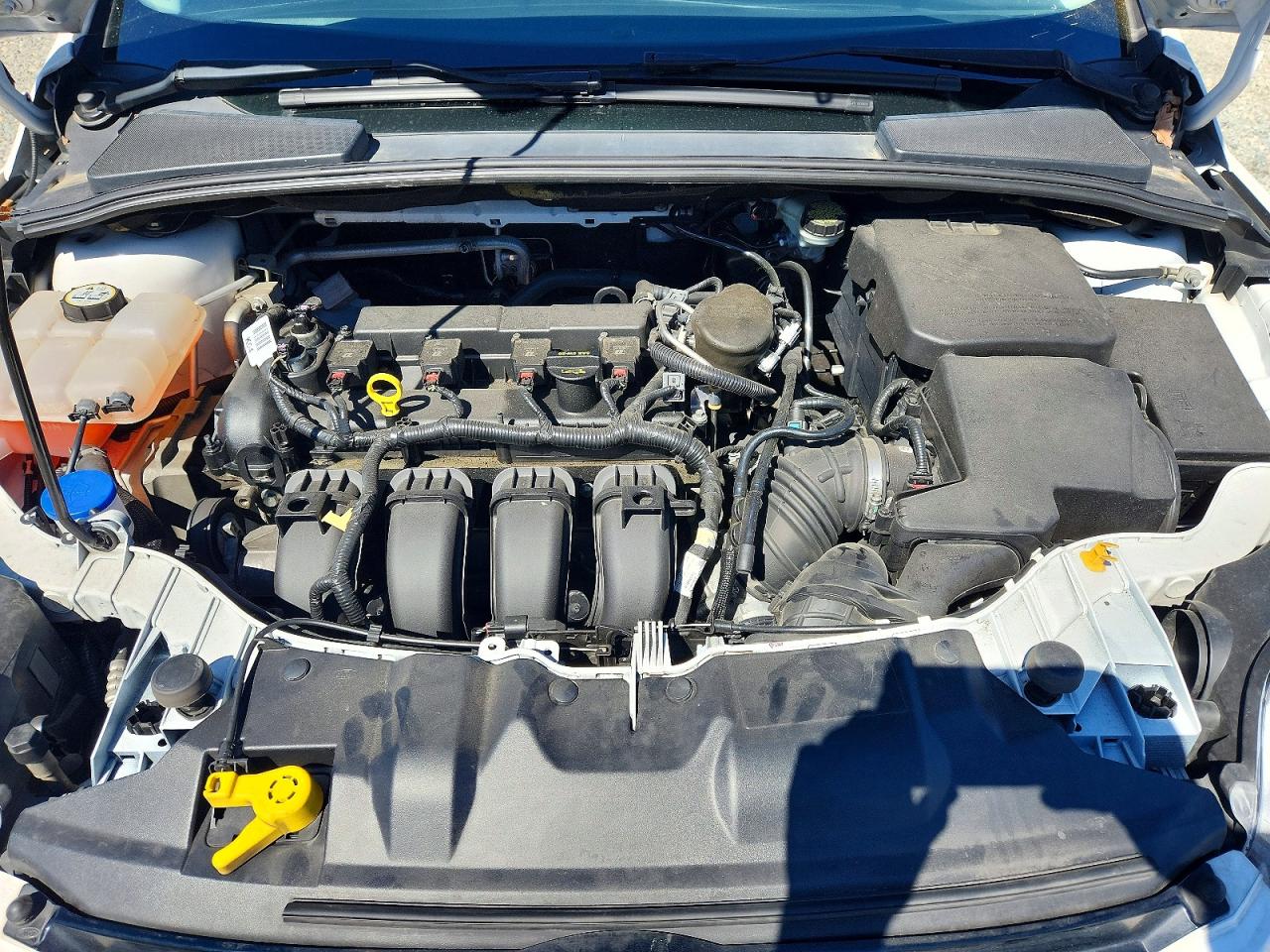 2014 Ford Focus Titanium White vin: 1FADP3N26EL282178