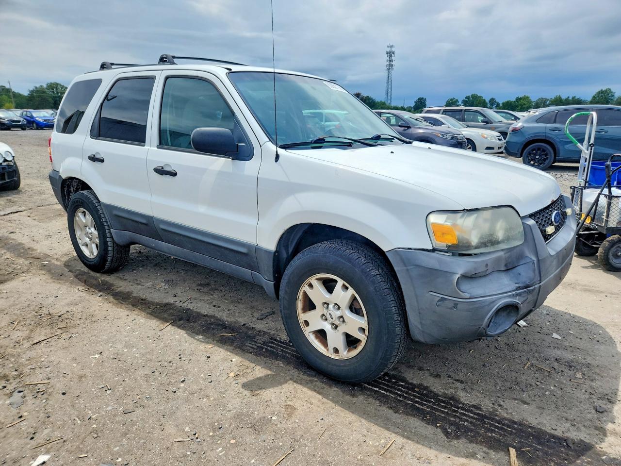 2006 Ford Escape Xlt White vin: 1FMCU93196KA44680