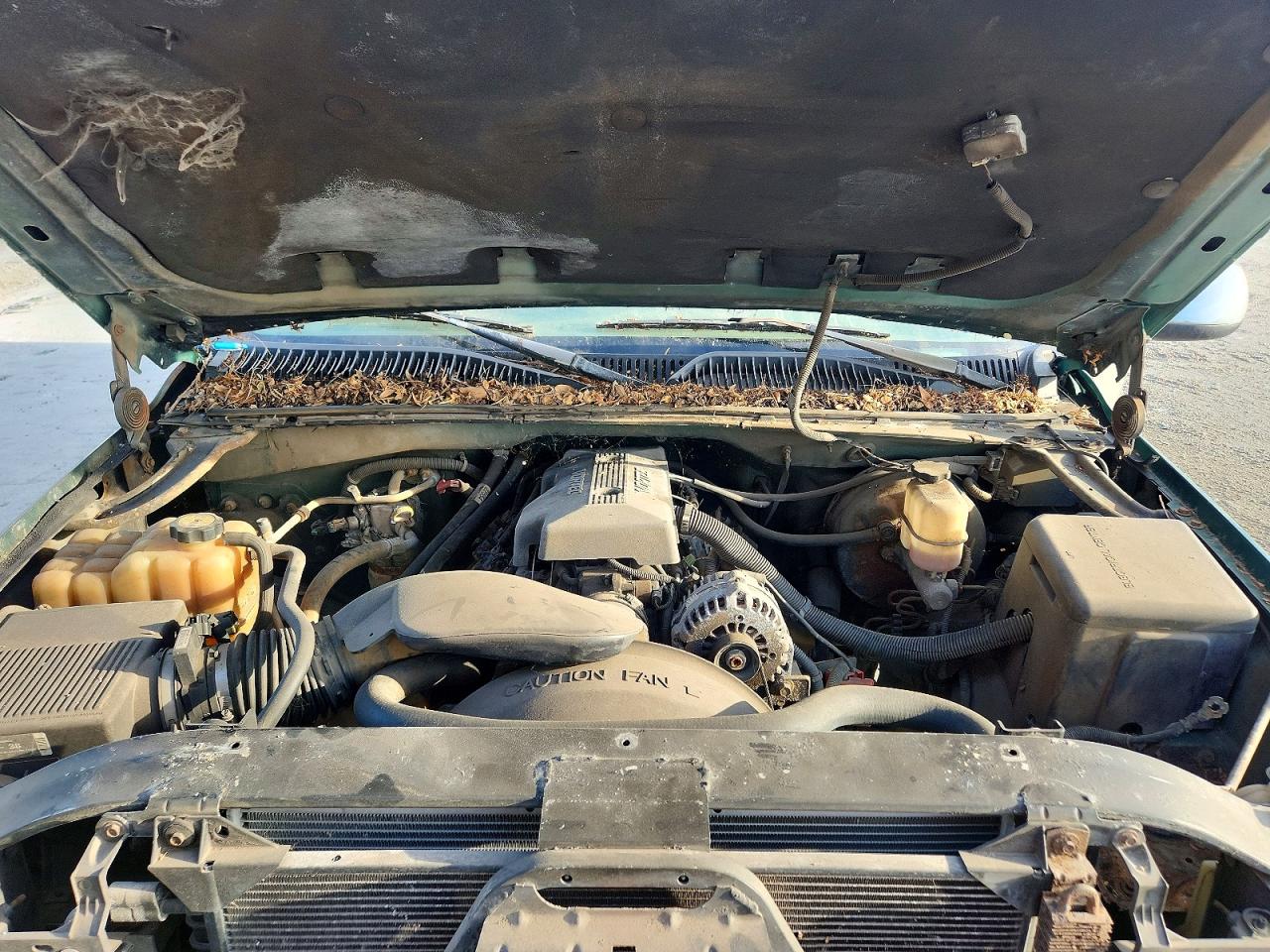 2000 Chevrolet Silverado K1500 Green vin: 1GCEK19T9YE135169