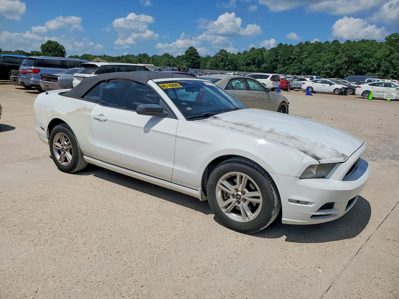 2014 Ford Mustang White vin: 1ZVBP8EM7E5215722