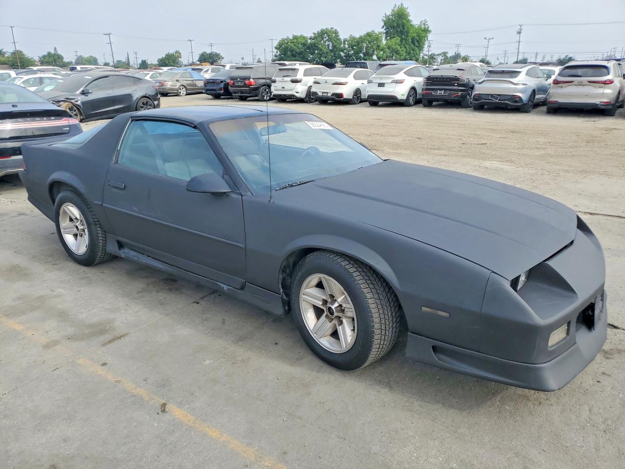 1991 Chevrolet Camaro Rs Black vin: 1G1FP23E6ML116289