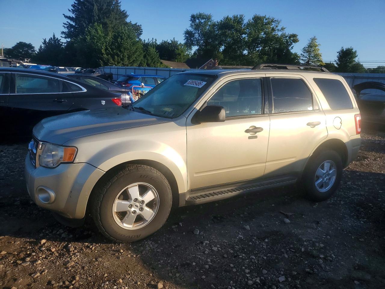 2010 Ford Escape Xlt Beige vin: 1FMCU0D72AKA54491