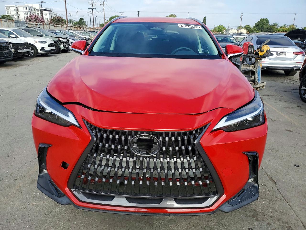 2022 Lexus Nx 250 Red vin: 2T2ADCEZ5NC001428