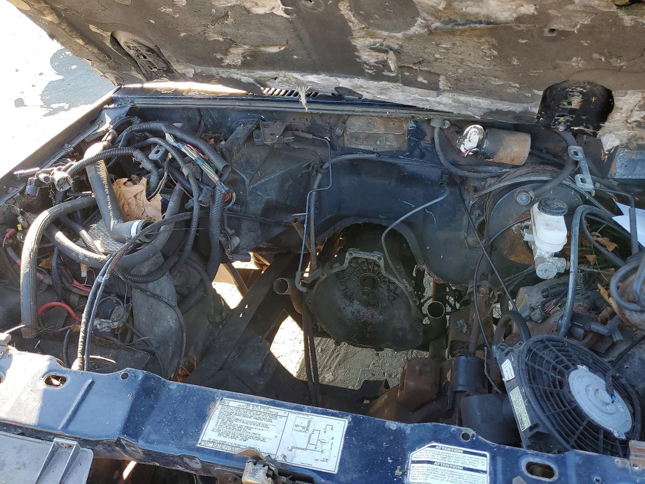 1988 Ford Bronco Ii Blue vin: 1FMCU14T3JUC83043