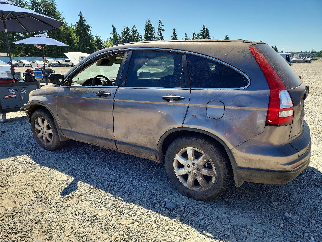 2011 Honda Cr-v Se Gray vin: 5J6RE4H46BL070010