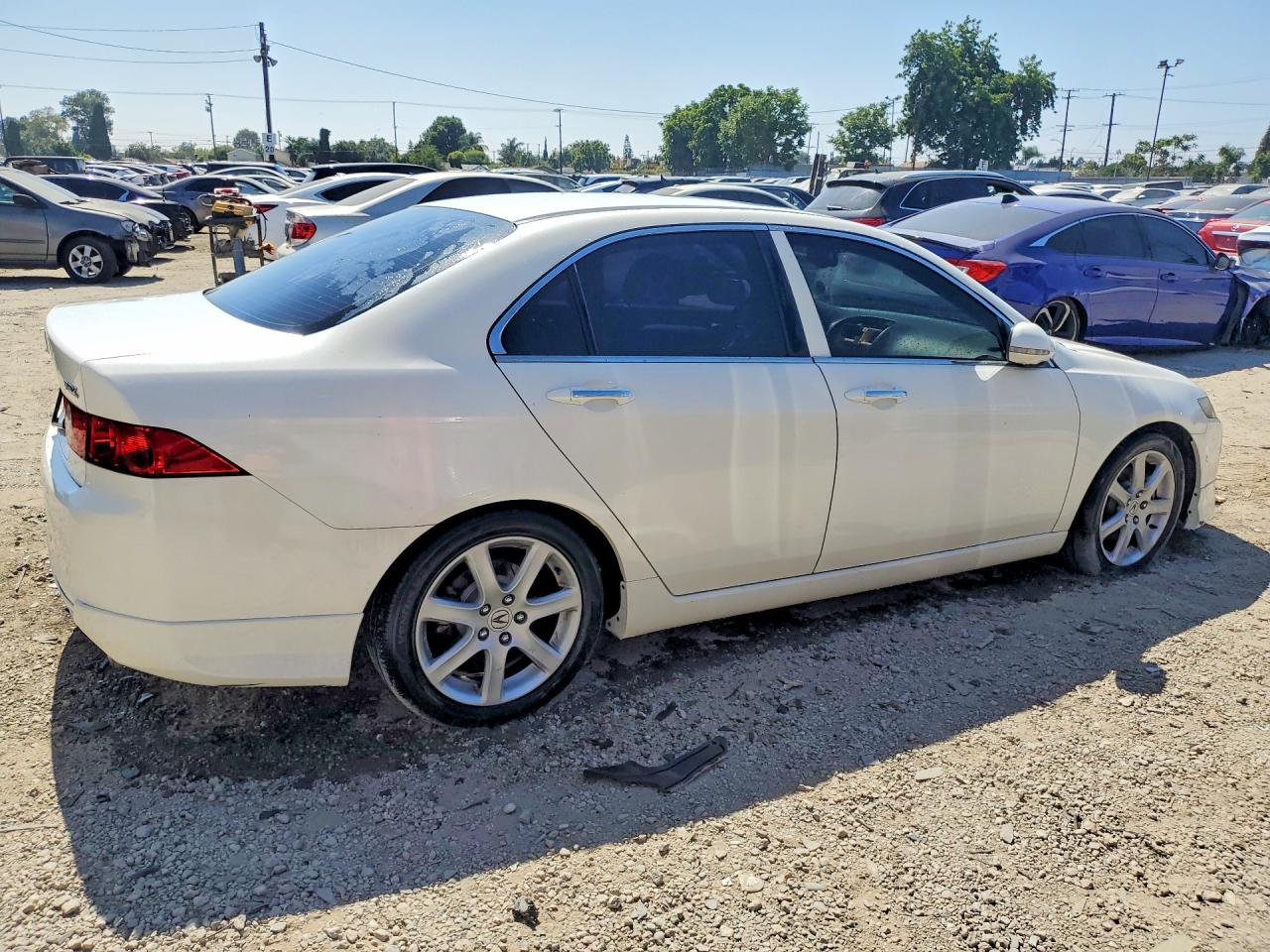 2004 Acura Tsx White vin: JH4CL96944C009138