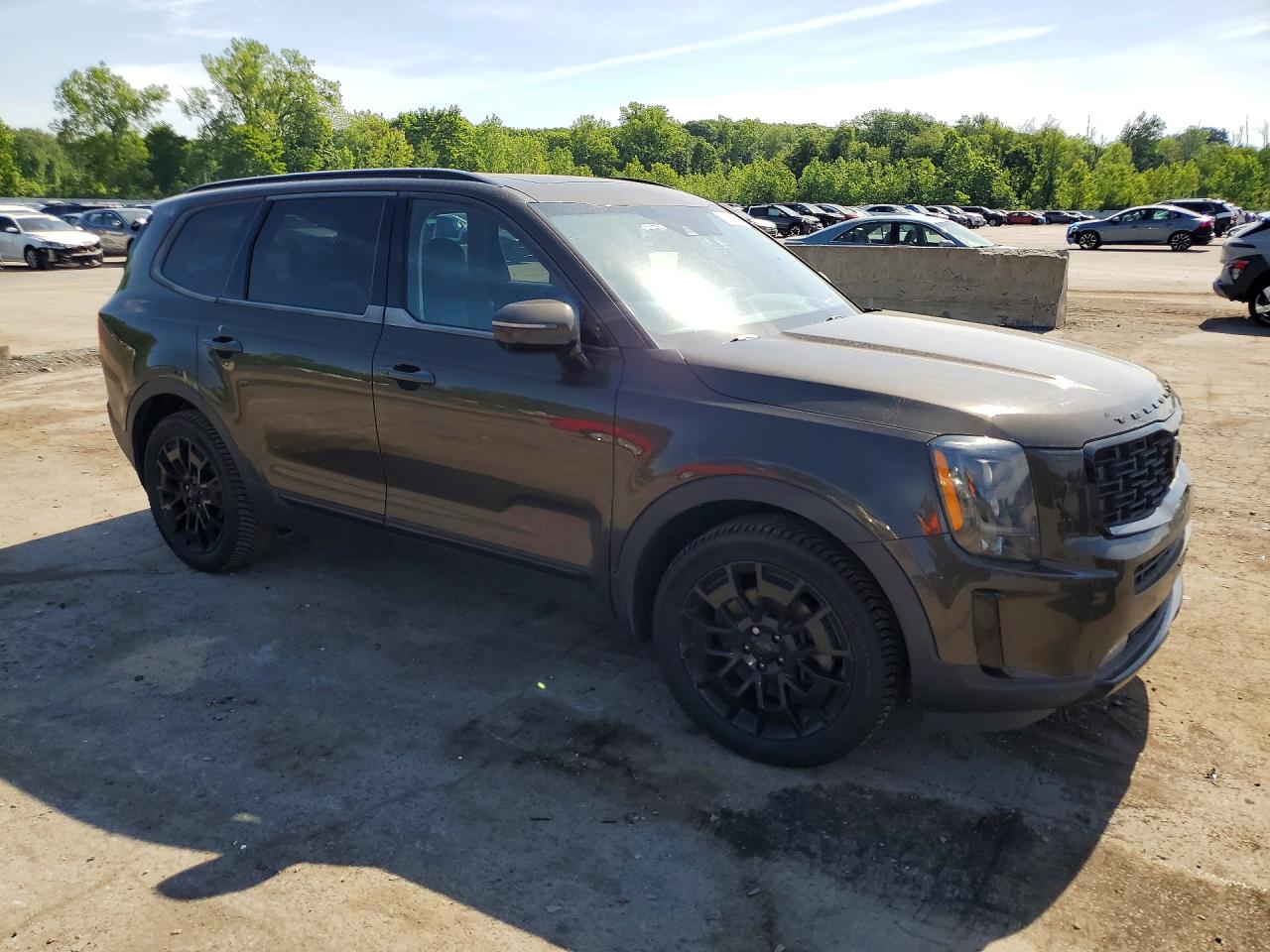 2021 Kia Telluride Sx Коричневый vin: 5XYP5DHC5MG141118