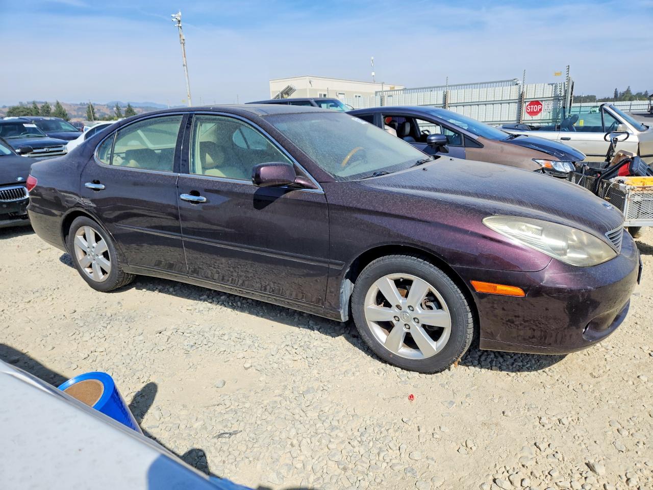 2005 Lexus Es 330 Maroon vin: JTHBA30GX55085314
