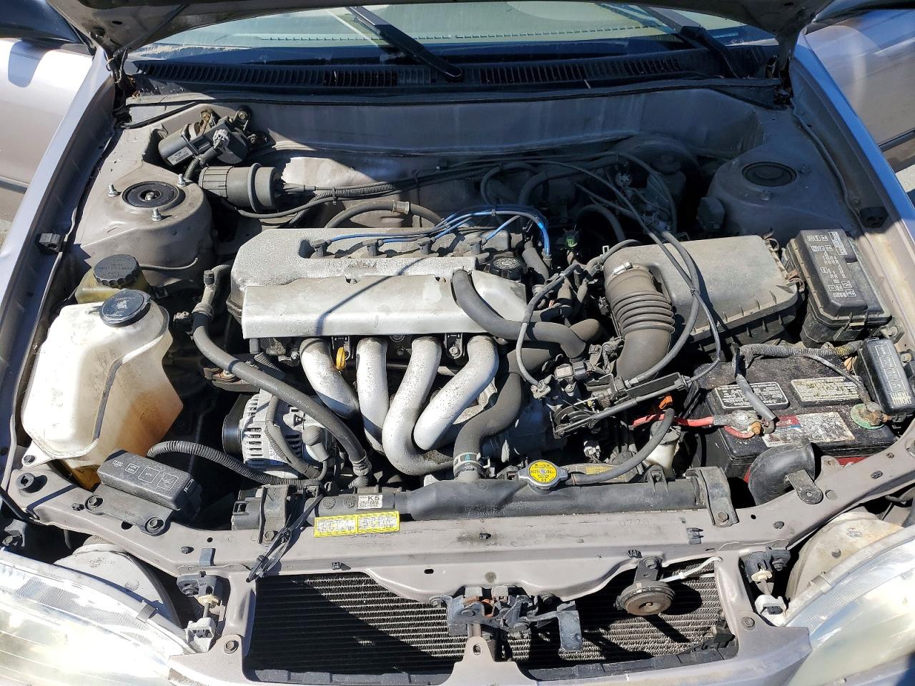 1999 Toyota Corolla Ve Cream vin: 1NXBR12E1XZ221974