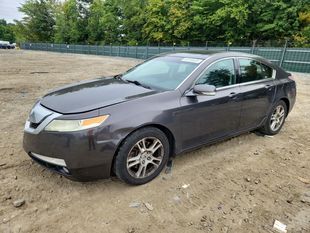 2009 Acura Tl Gray vin: 19UUA86269A013799